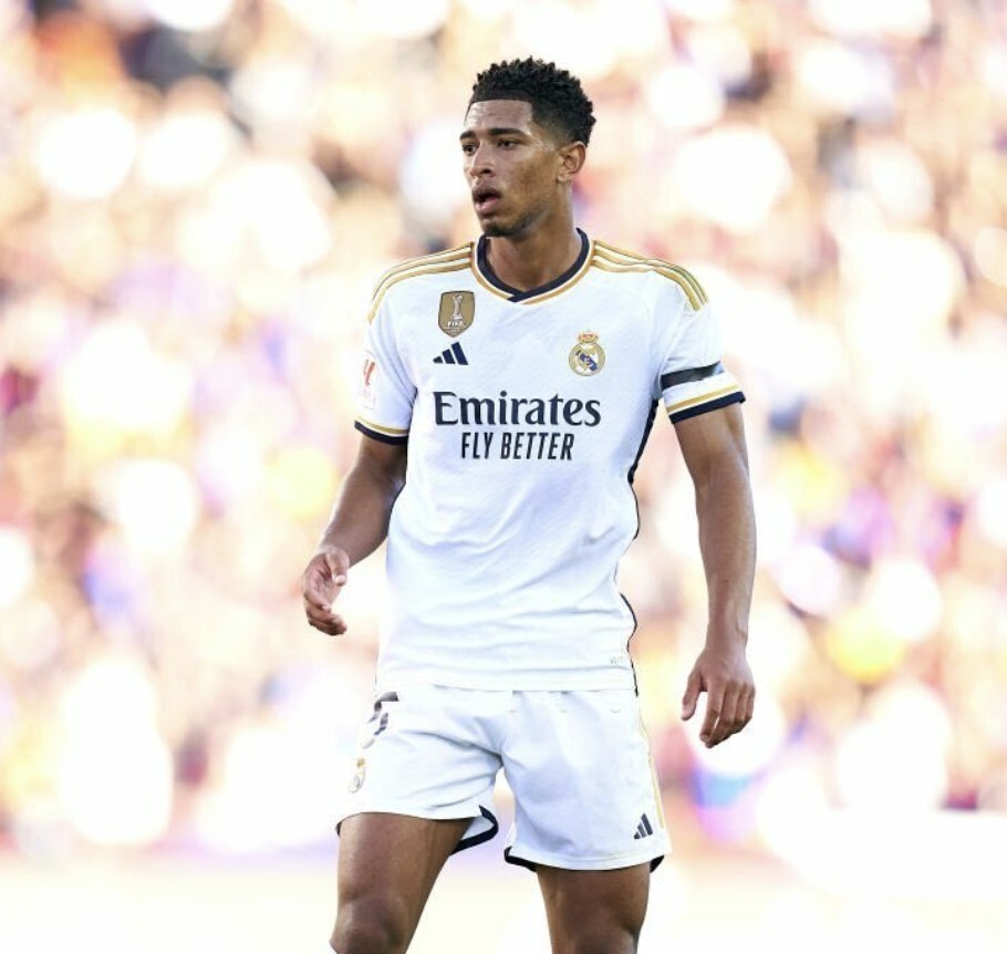 公告形式进 公告形式进